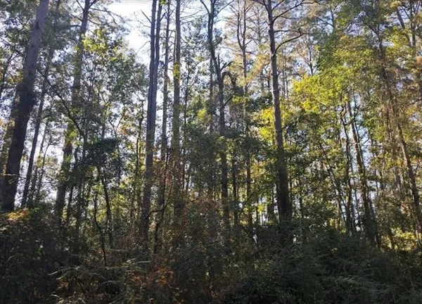 $225,000 | 0 Hwy 165 Highway, Forest Hill, LA 71430