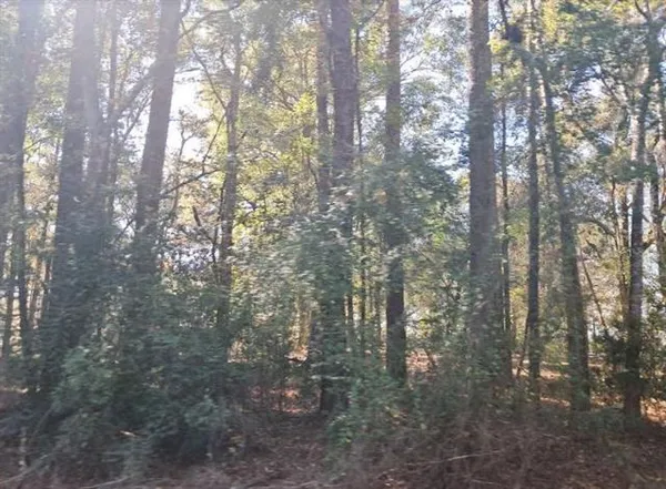 $225,000 | 0 Hwy 165 Highway, Forest Hill, LA 71430