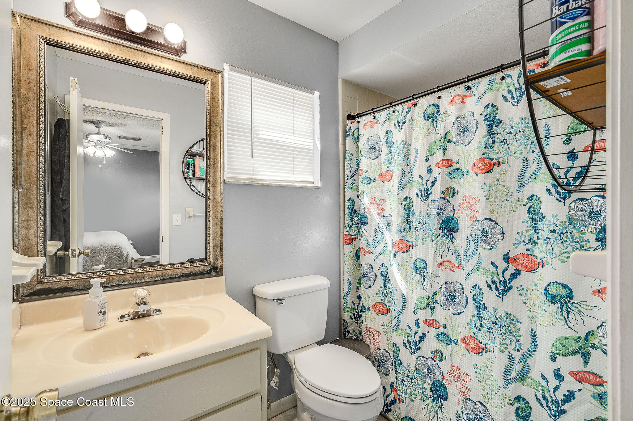 3816 Parapet Drive Cocoa, FL 32926 - Photo 23 of 32 a bathroom with a sink and mirror with toilet