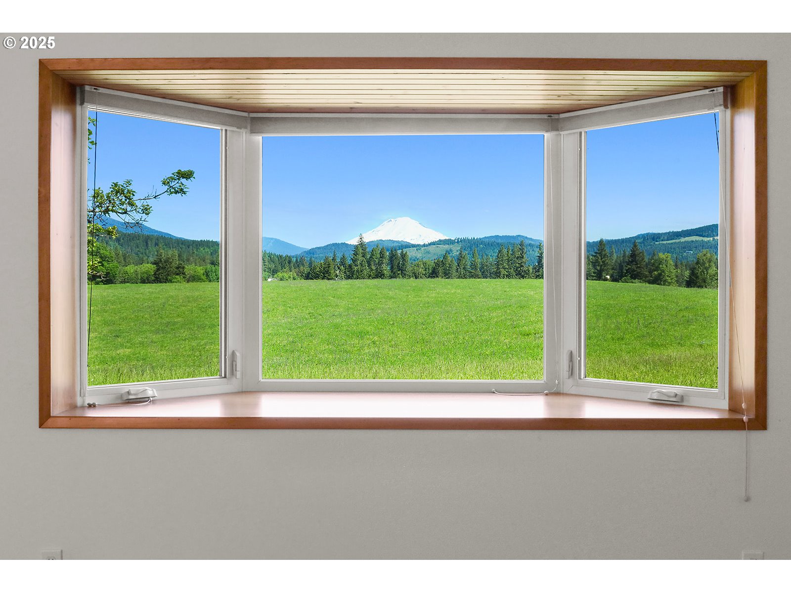 Main Street White Salmon, WA 98672 - Photo 19 of 27