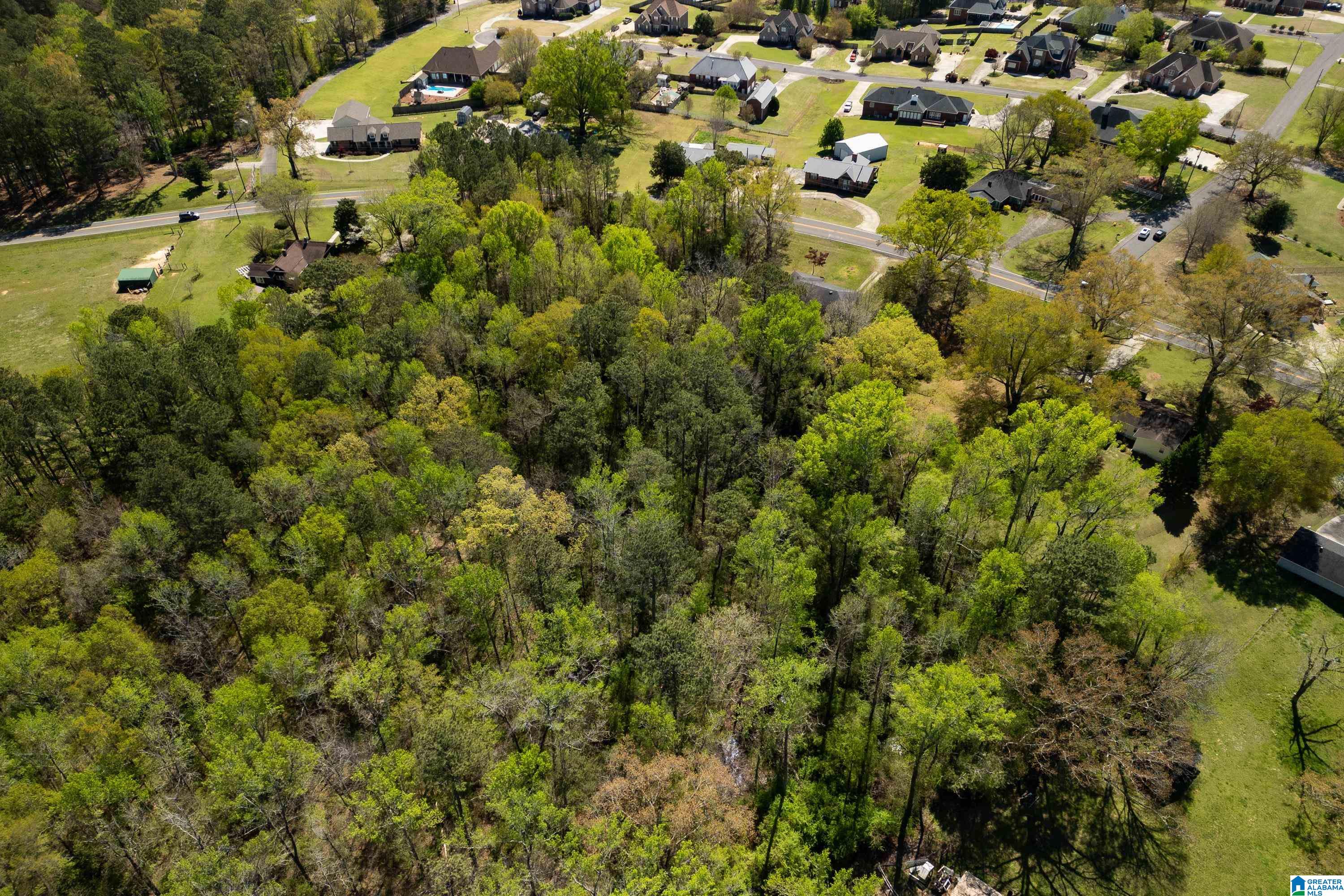 1044 Morris Majestic Road Morris, AL 35116 - Photo 12 of 13
