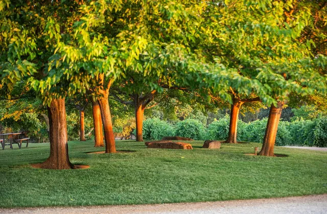 $6,275,000 | 21215 Shenandoah School Road, Plymouth, CA 95669