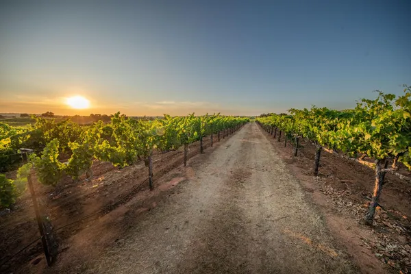 $5,950,000 | 21215 Shenandoah School Road, Plymouth, CA 95669