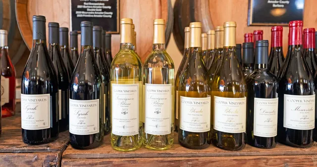 $6,275,000 | 21215 Shenandoah School Road, Plymouth, CA 95669