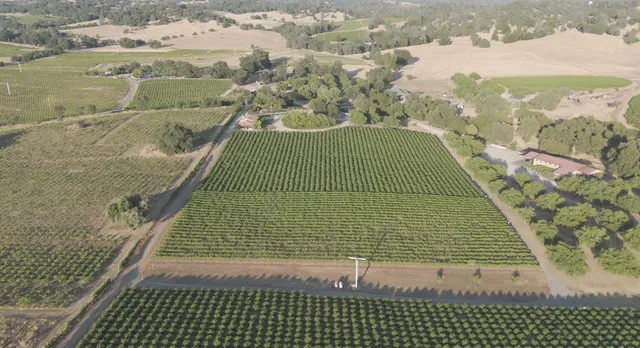 $6,275,000 | 21215 Shenandoah School Road, Plymouth, CA 95669