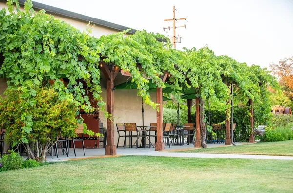 $5,950,000 | 21215 Shenandoah School Road, Plymouth, CA 95669