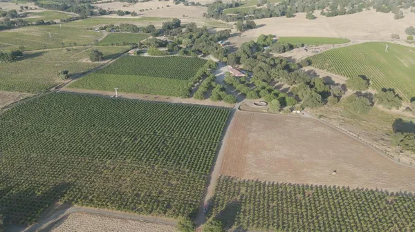 $5,950,000 | 21215 Shenandoah School Road, Plymouth, CA 95669