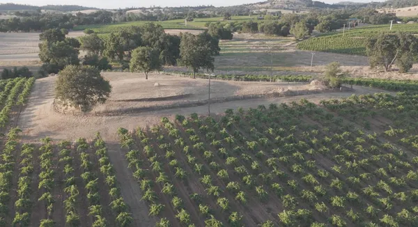 $5,950,000 | 21215 Shenandoah School Road, Plymouth, CA 95669