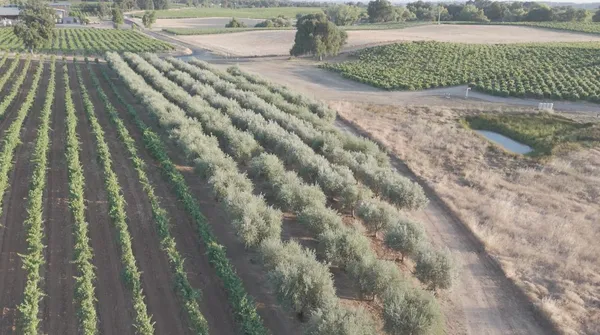 $5,950,000 | 21215 Shenandoah School Road, Plymouth, CA 95669