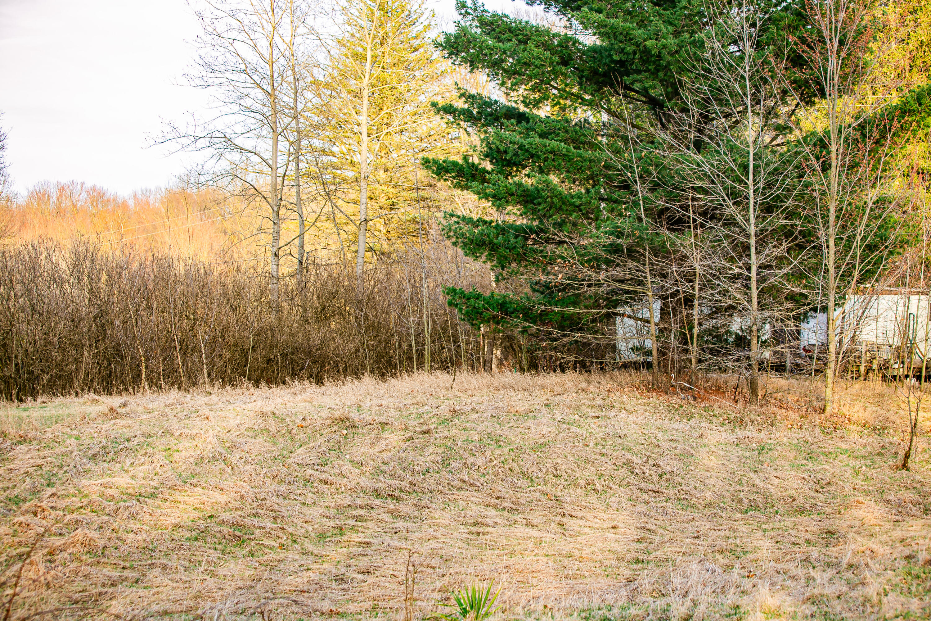 10333 Brown Road Springport, MI 49284 - Photo 5 of 10 IMG_7669