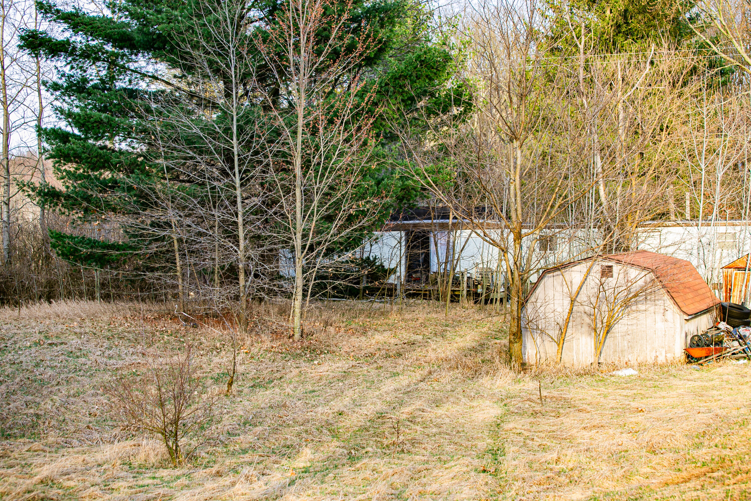 10333 Brown Road Springport, MI 49284 - Photo 7 of 10 IMG_7653