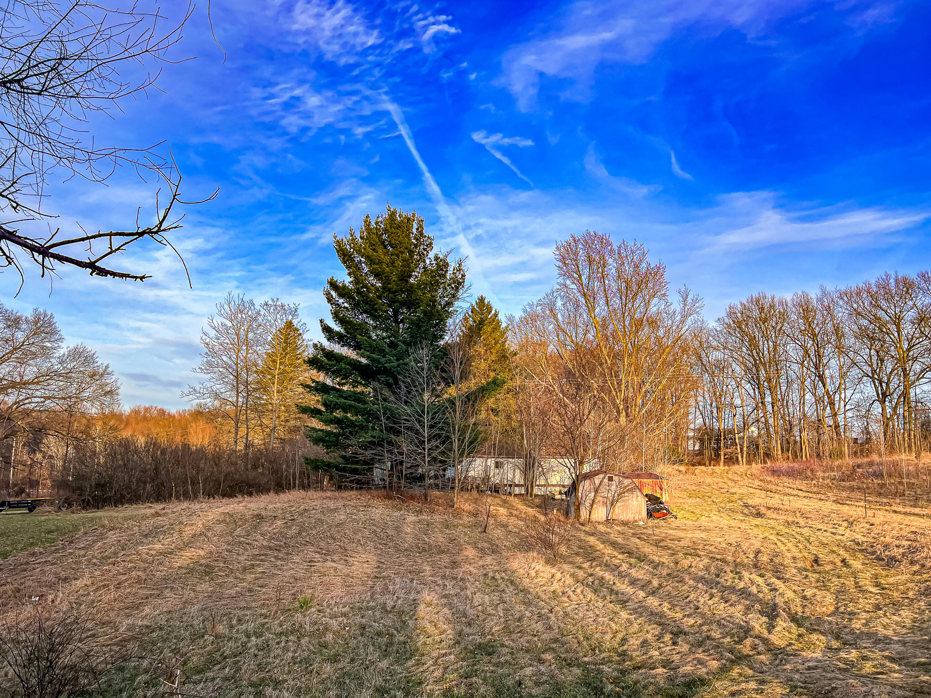 10333 Brown Road Springport, MI 49284 - Photo 8 of 10 IMG_8245-2