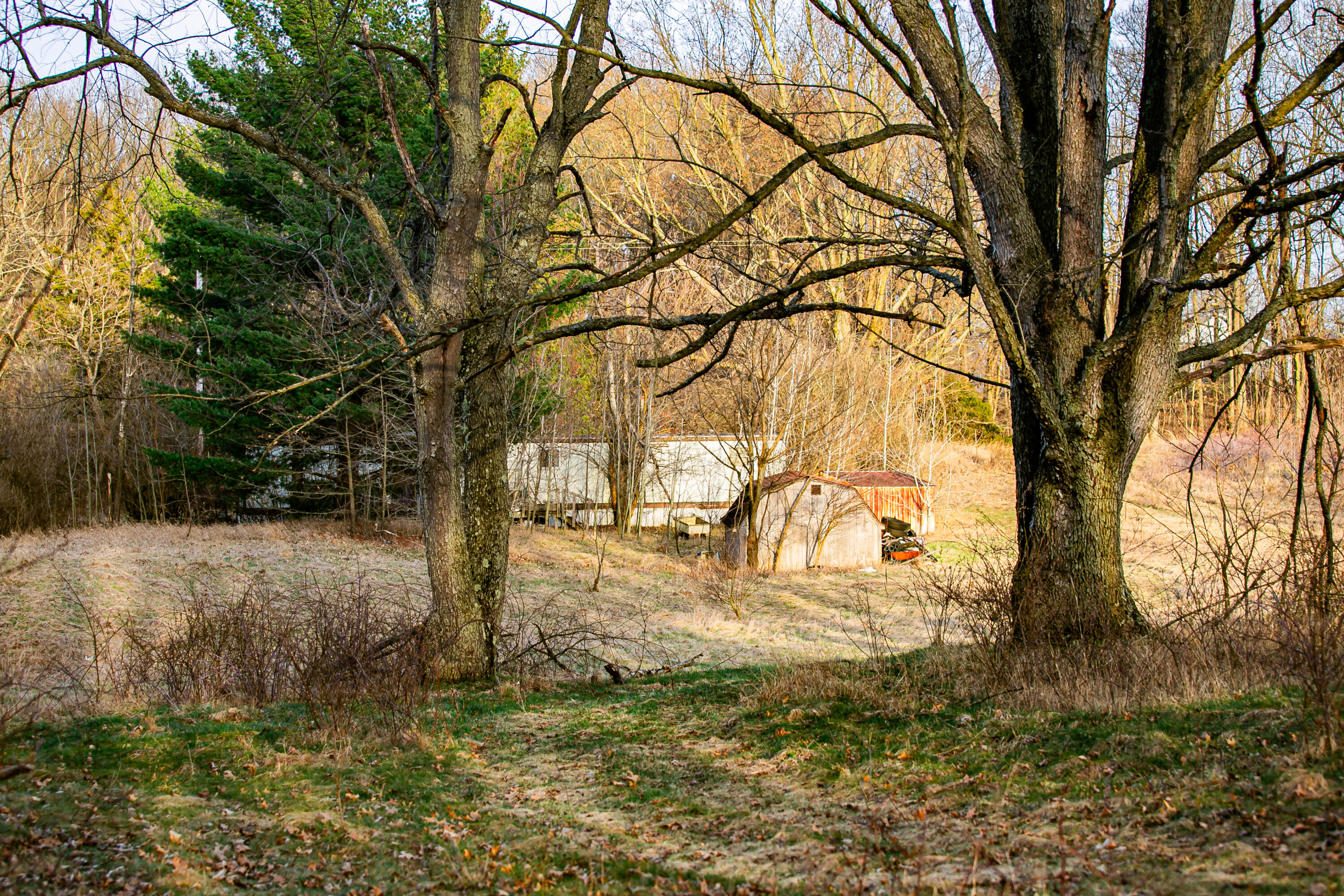 10333 Brown Road Springport, MI 49284 - Photo 9 of 10 IMG_7664