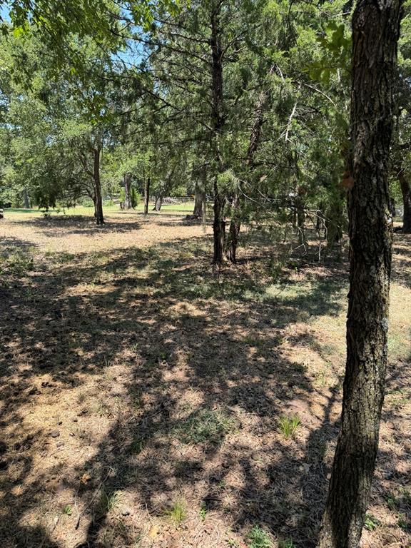 2300 Spring Mountain Road Cross Roads, TX 76227 - Photo 10 of 19 Wooded lot with mature trees and natural ground cover