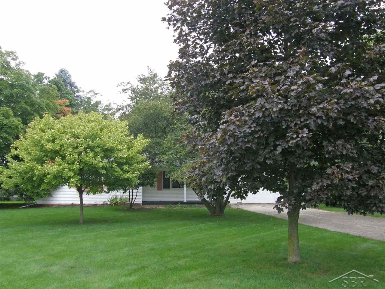 4568 Chesaning Road Chesaning, MI 48616 - Photo 17 of 18 50023314-16.JPG