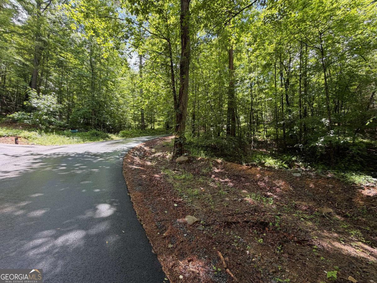 2.75-ac Quail Ridge Road Epworth, GA 30541 - Photo 8 of 12
