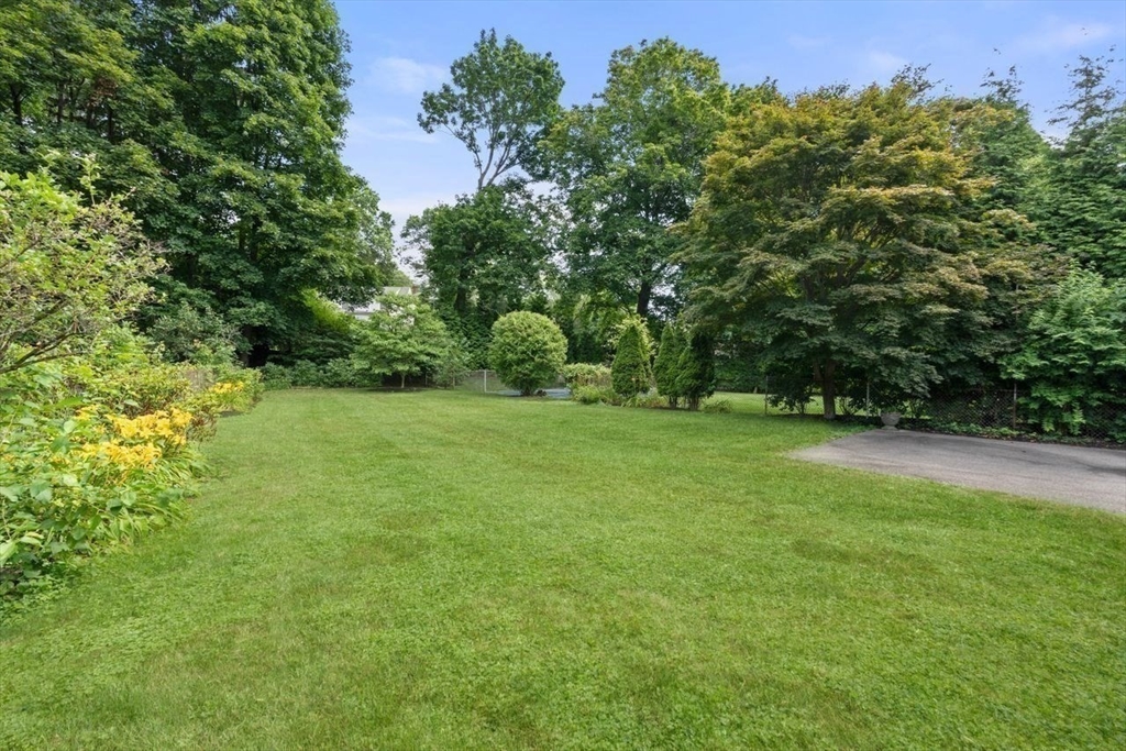 115 Clark Road Brookline, MA 02445 - Photo 28 of 37