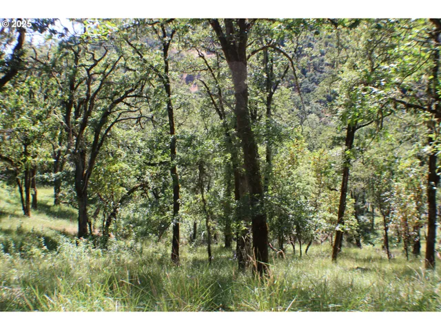 a view of outdoor space and a yard