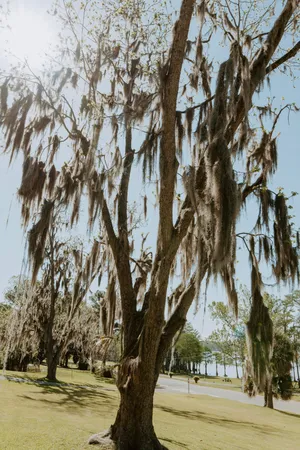 $600,000 | 23622 Fifth Avenue, Florala, AL 36442