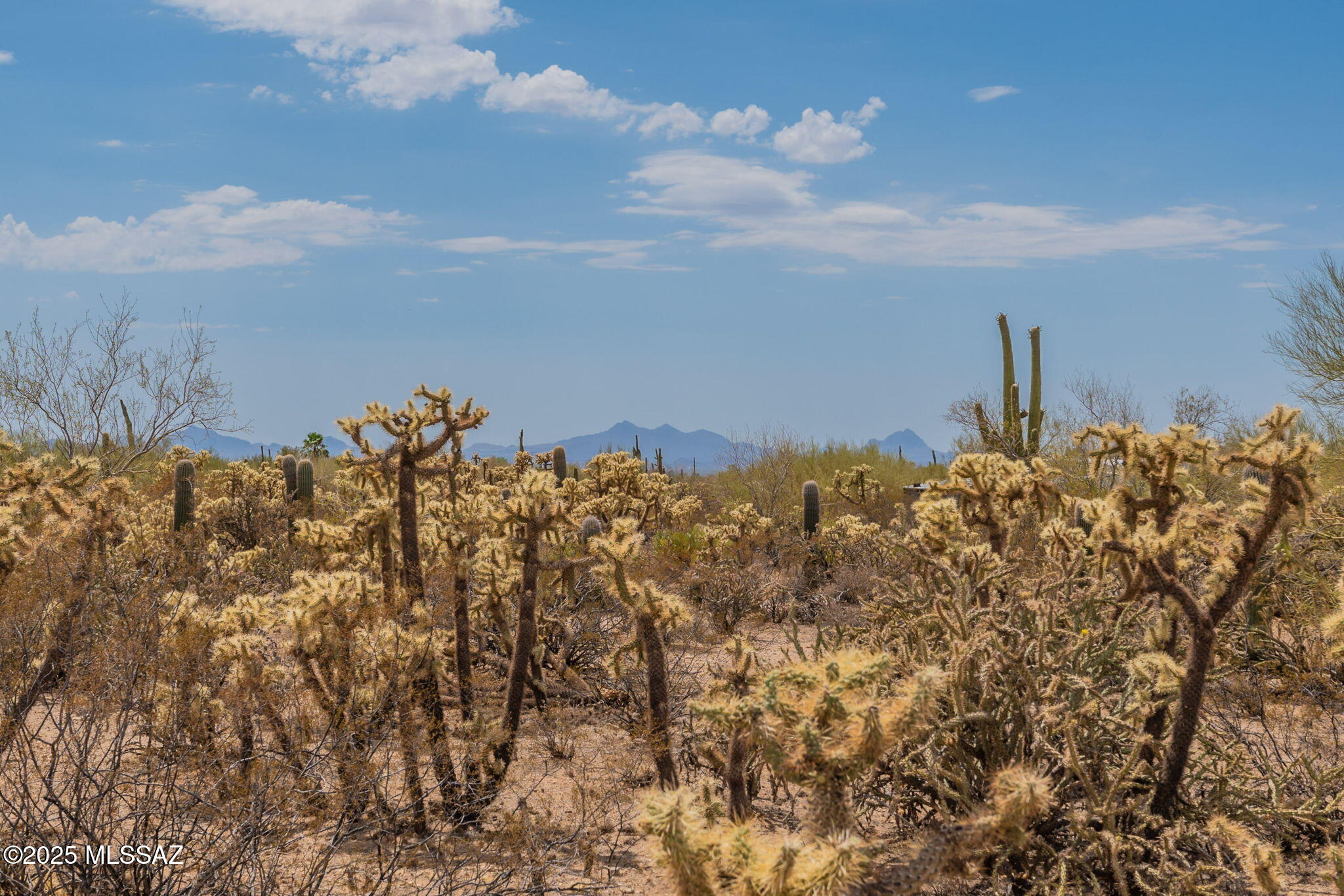 Tbd North Tbd N Van Ark Road Tucson, AZ 85743 - Photo 7 of 25