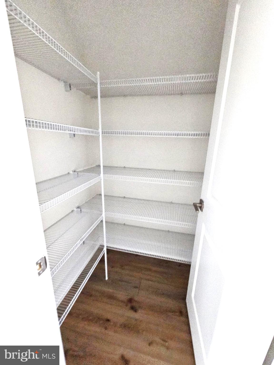 43400 Farringdon Square Broadlands, VA 20148 - Photo 4 of 23 Walk In Pantry