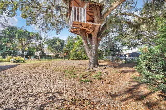 a tree in the middle of a yard