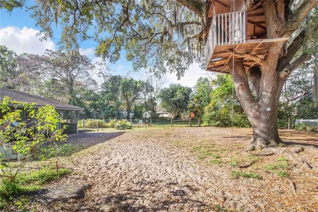 a view of a yard with plants and trees
