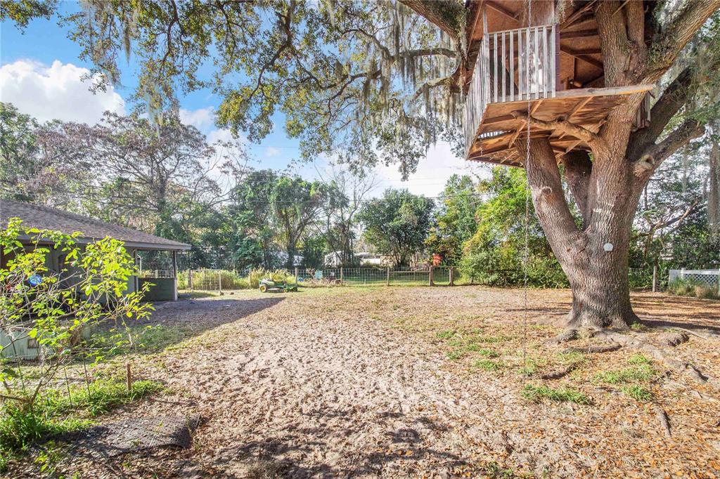 308 Granada Road Auburndale, FL 33823 - Photo 28 of 37 a view of a yard with plants and trees