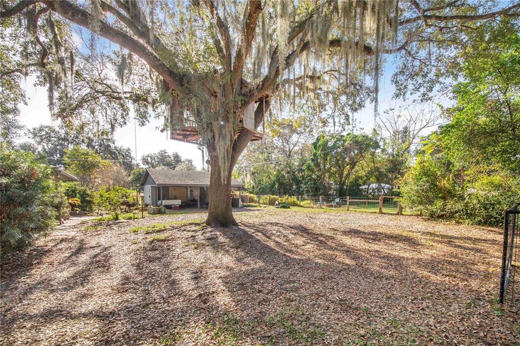 308 Granada Road Auburndale, FL 33823 - Photo 29 of 37 a view of a yard with trees in front of it
