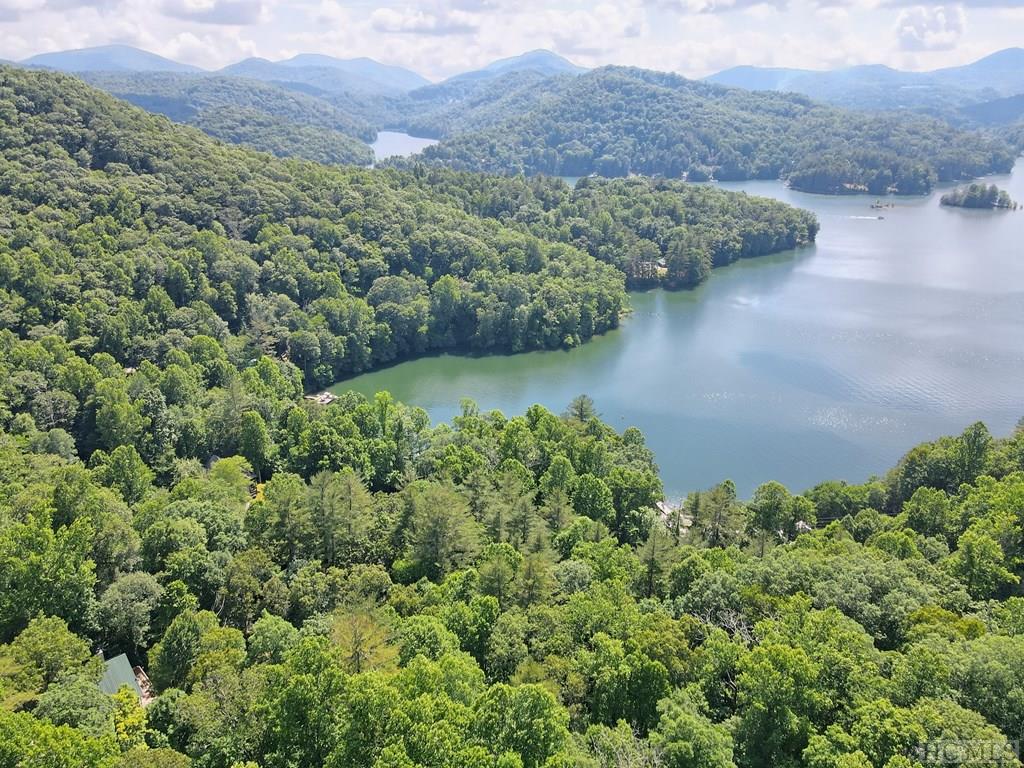 16 Splendor Cove Road Cullowhee, NC 28723 - Photo 70 of 73 Gallery Image 70