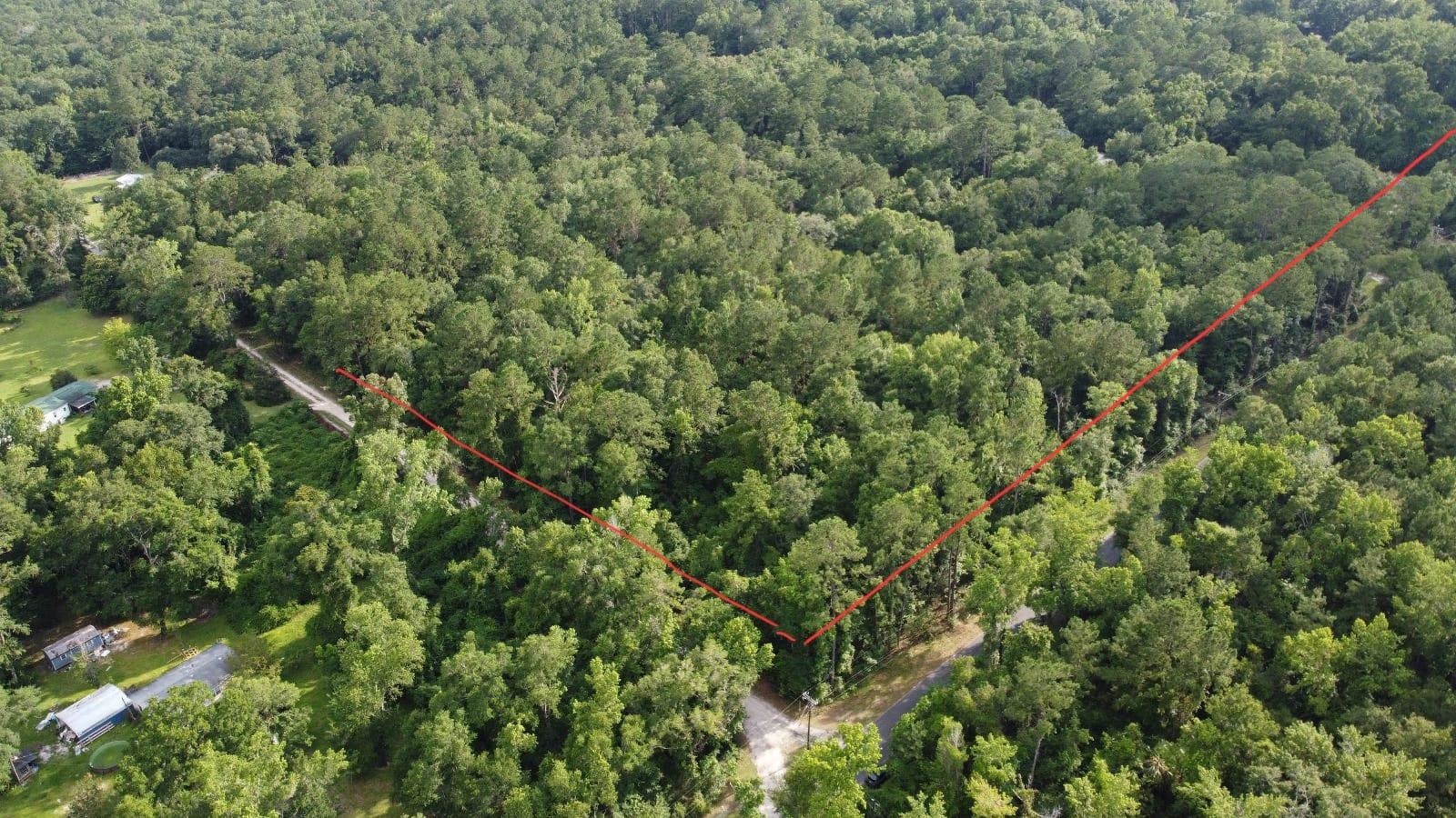 Xx Staten Road Crawfordville, FL 32327 - Photo 3 of 12