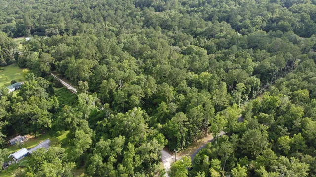 $100,000 | Xx Staten Road, Crawfordville, FL 32327