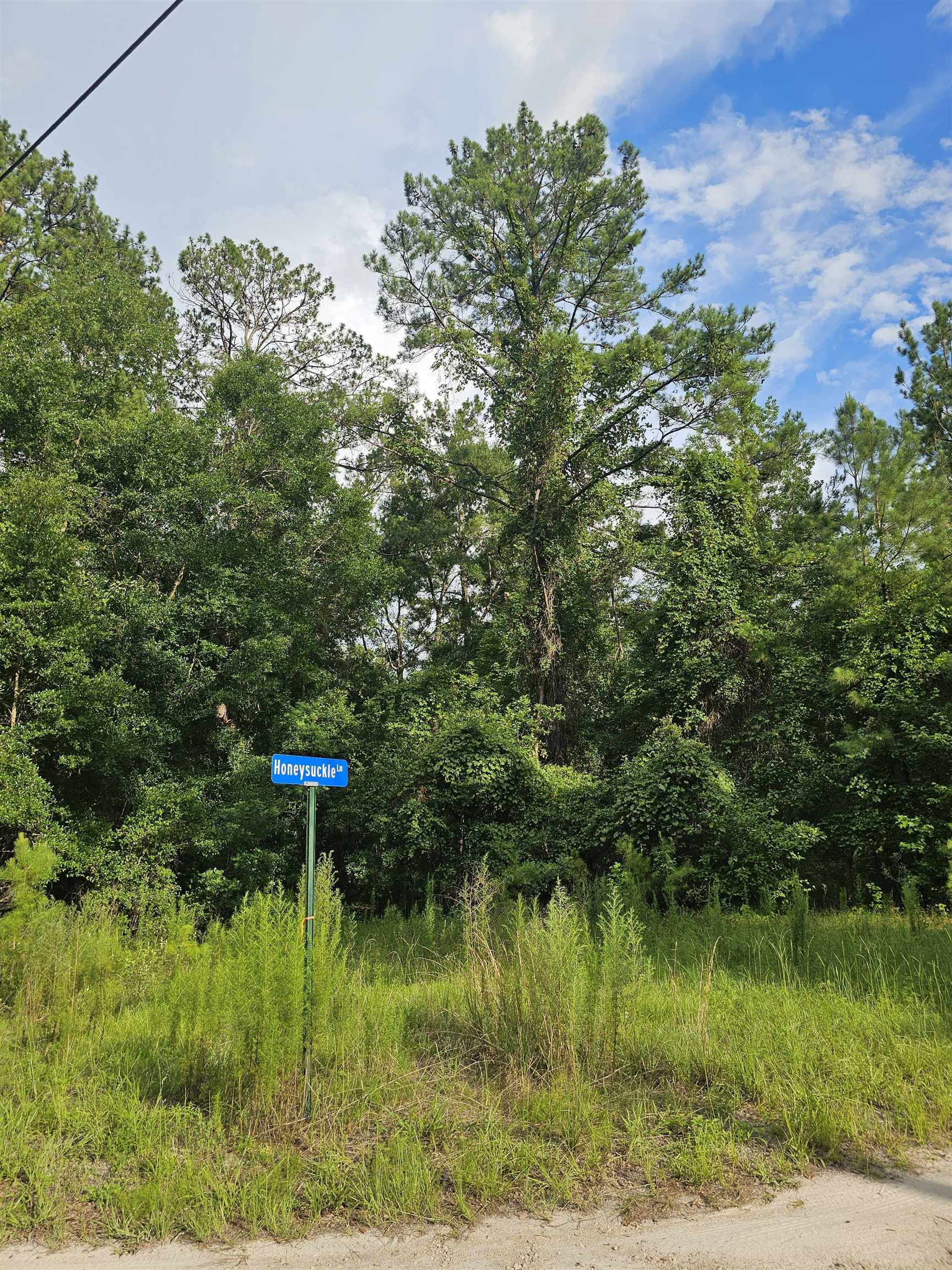 Xx Staten Road Crawfordville, FL 32327 - Photo 5 of 12