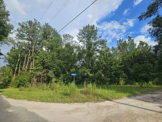 $100,000 | Xx Staten Road, Crawfordville, FL 32327