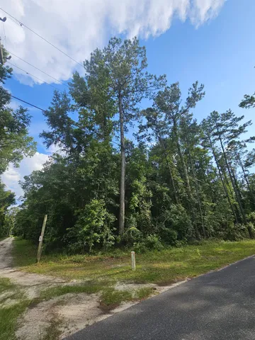 $100,000 | Xx Staten Road, Crawfordville, FL 32327