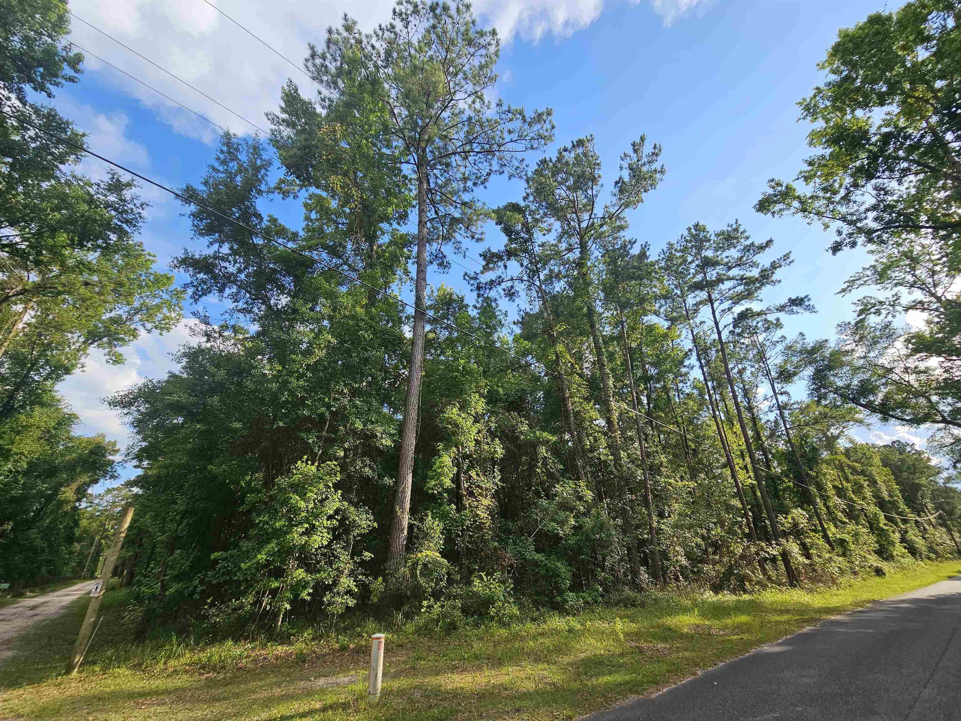 Xx Staten Road Crawfordville, FL 32327 - Photo 9 of 12