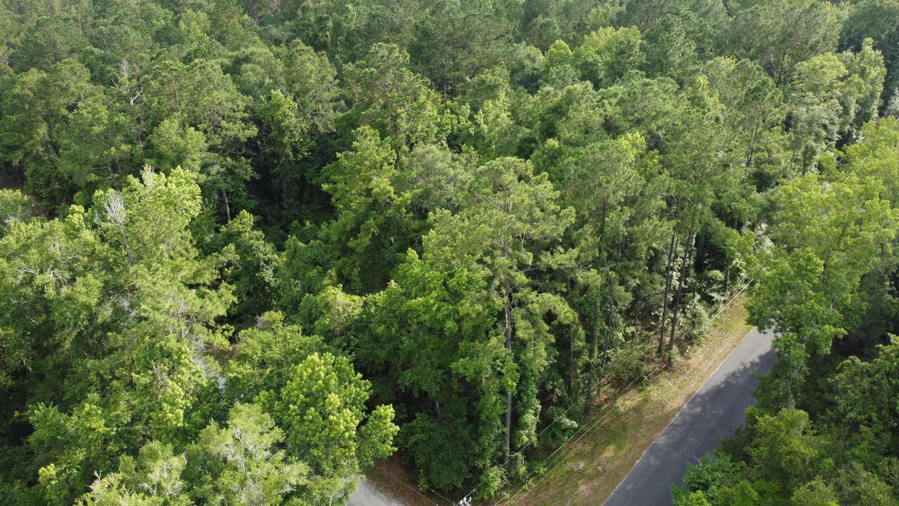 Xx Staten Road Crawfordville, FL 32327 - Photo 10 of 12