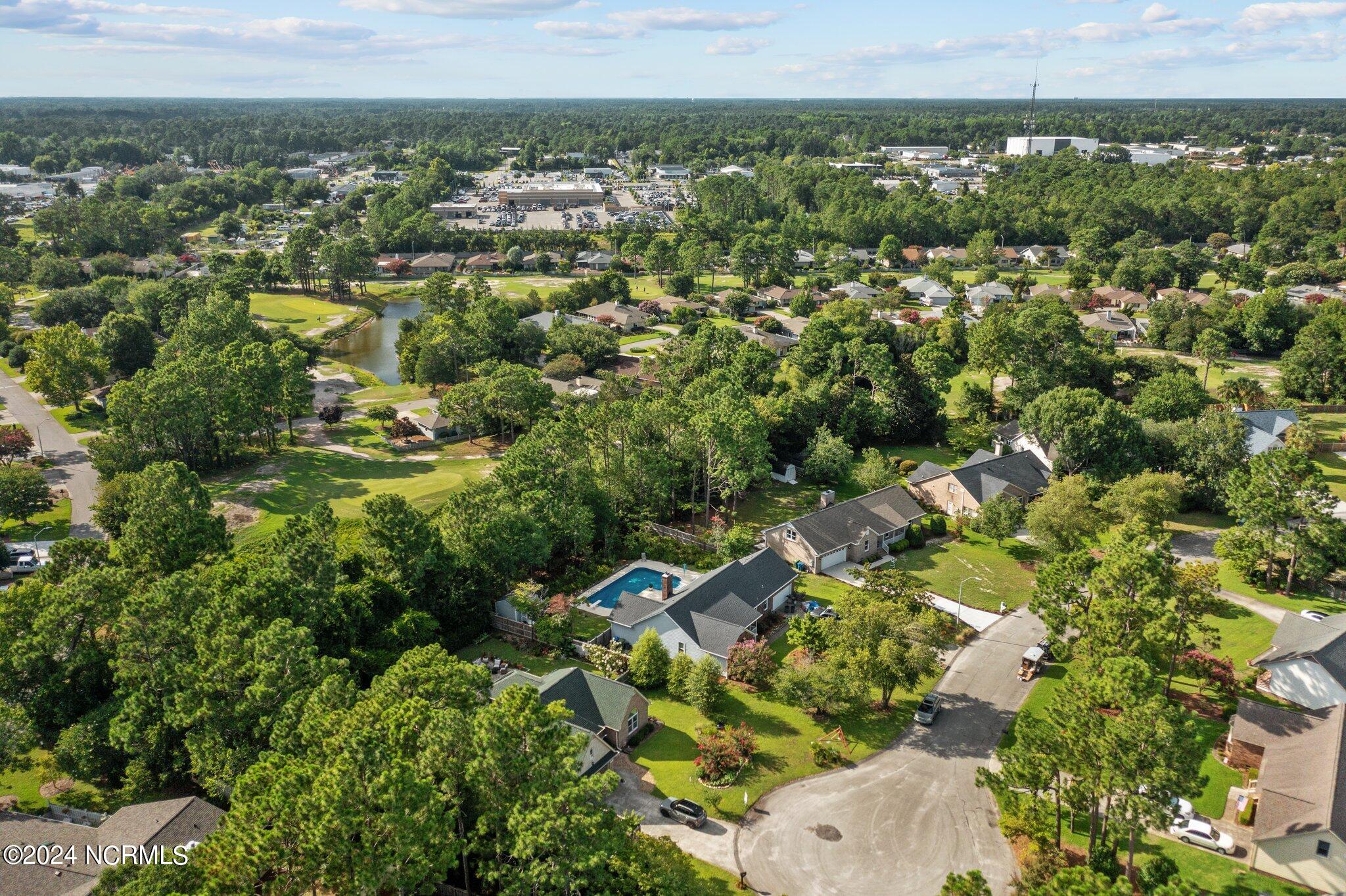 301 Wiregrass Road Wilmington, NC 28405 - Photo 45 of 47 51-web-or-mls-DJI_0898
