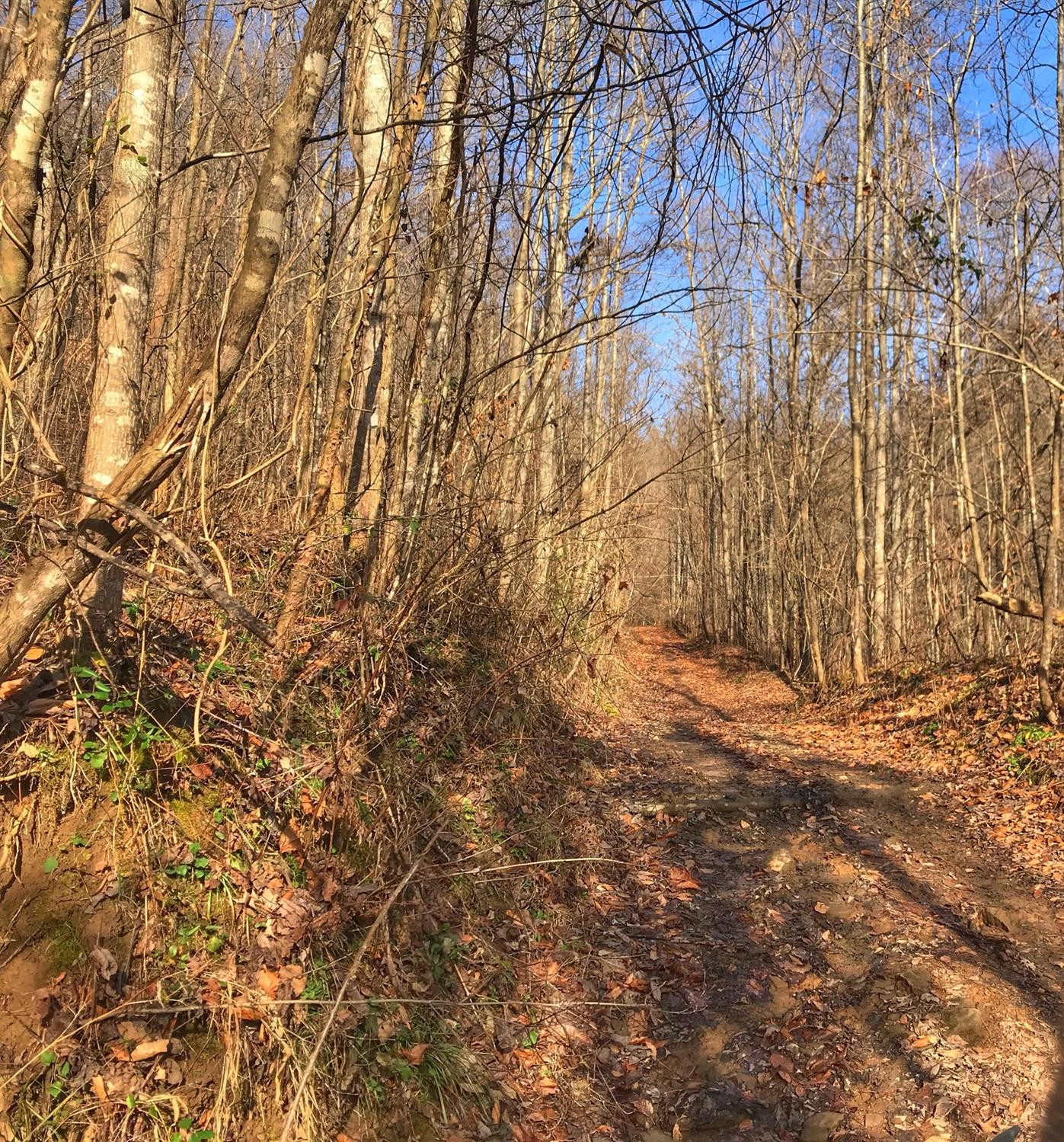 2 Otter Creek Road Manchester, KY 40962 - Photo 28 of 51 Photo 28