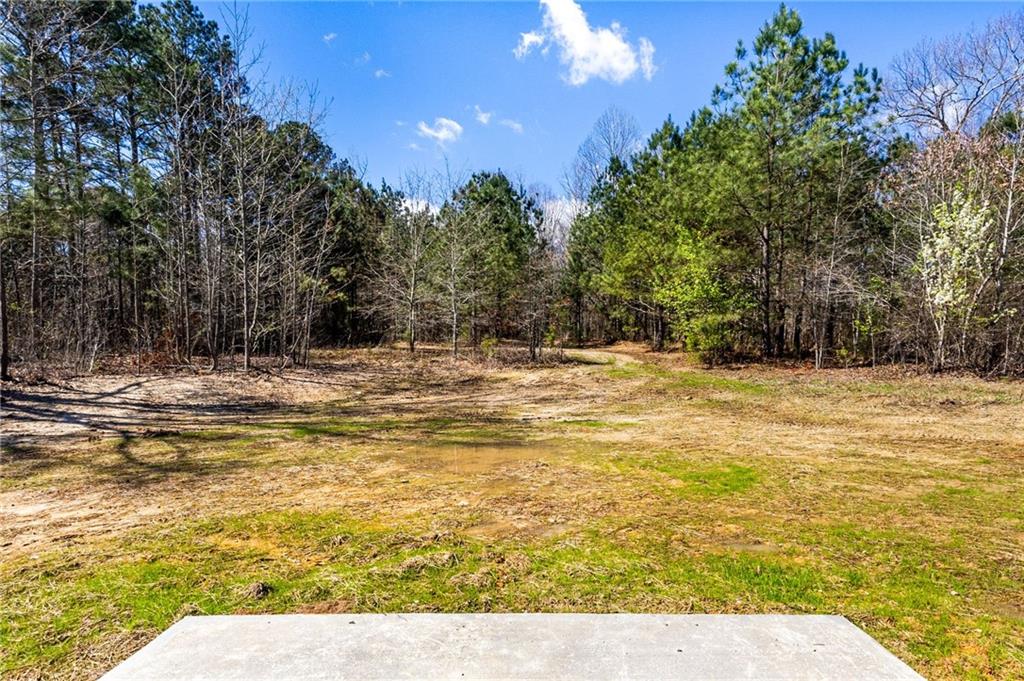 1016 Poseyville Road Bremen, GA 30110 - Photo 33 of 34