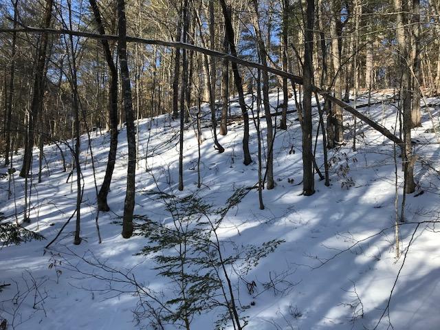 0 Saddleback Road East Baldwin, ME 04024 - Photo 10 of 23 IMG_4639