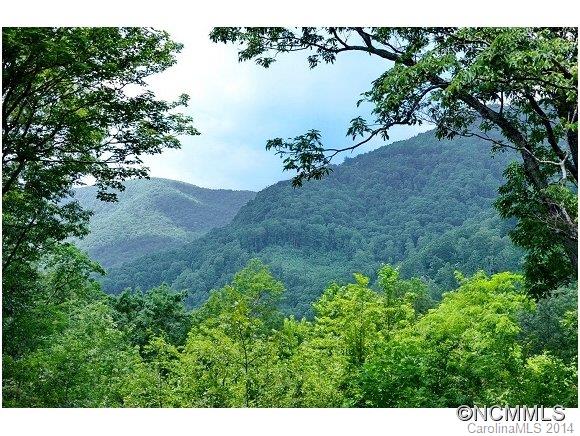 154 Devils Ridge Lane Tryon, NC 28782 - Photo 4 of 15