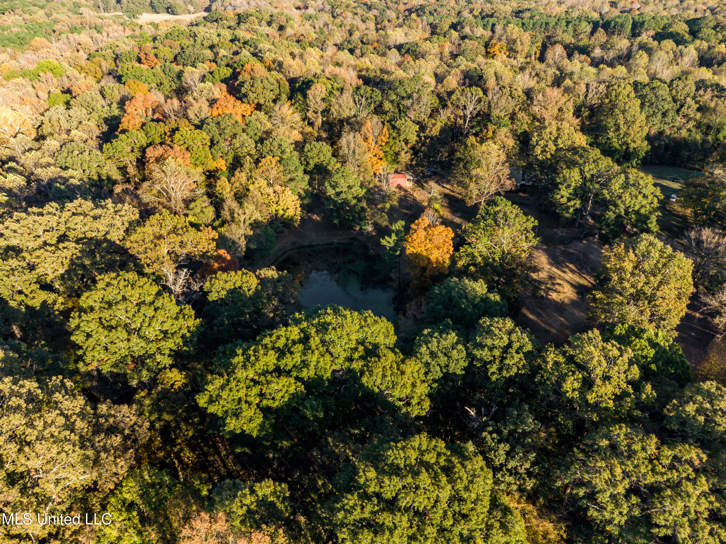 3938 Old Dover Road Yazoo City, MS 39194 - Photo 37 of 42 3938 Old Dover Rd drone-0235