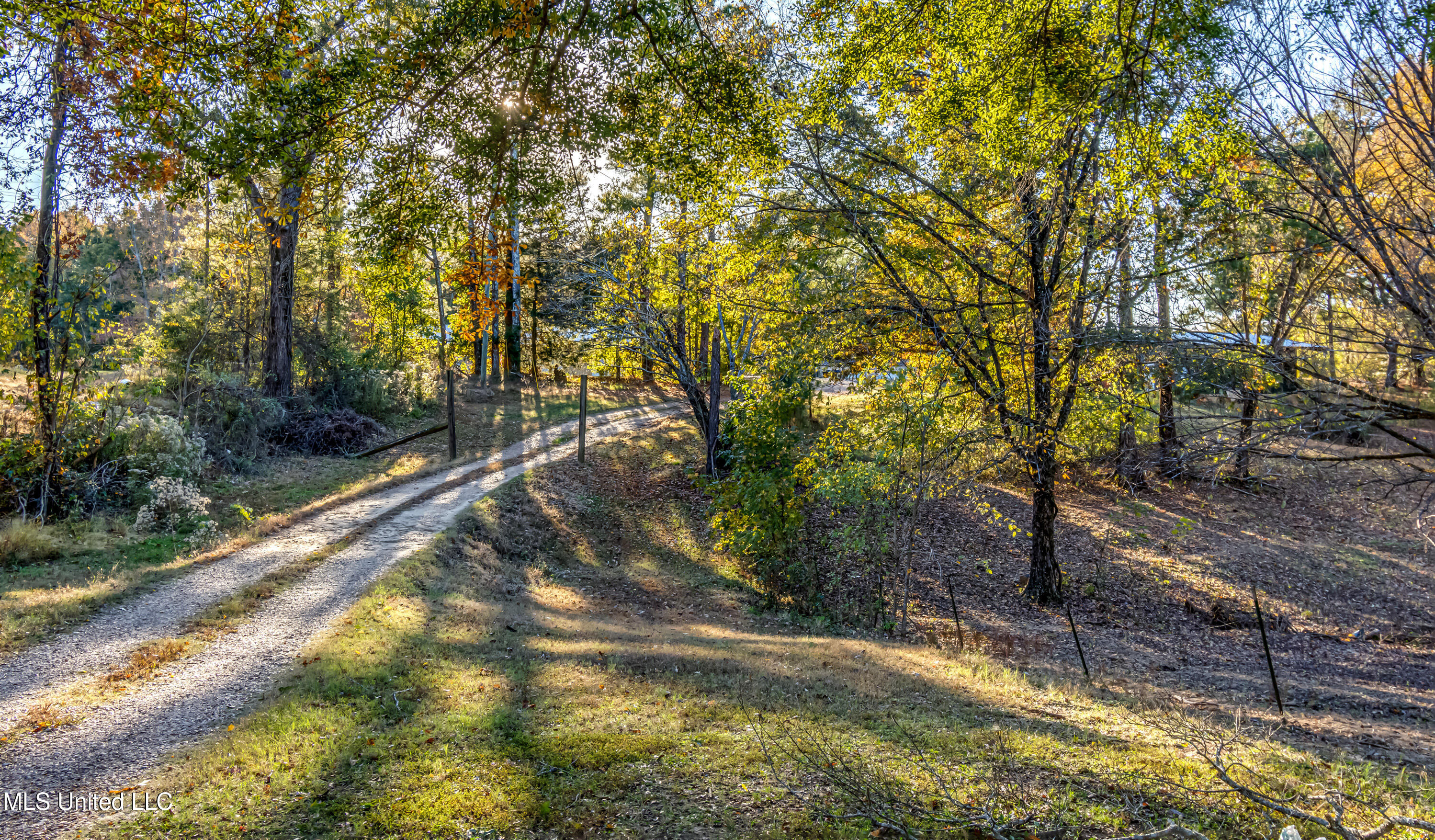 3938 Old Dover Road Yazoo City, MS 39194 - Photo 38 of 42 3938 Old Dover Rd--52