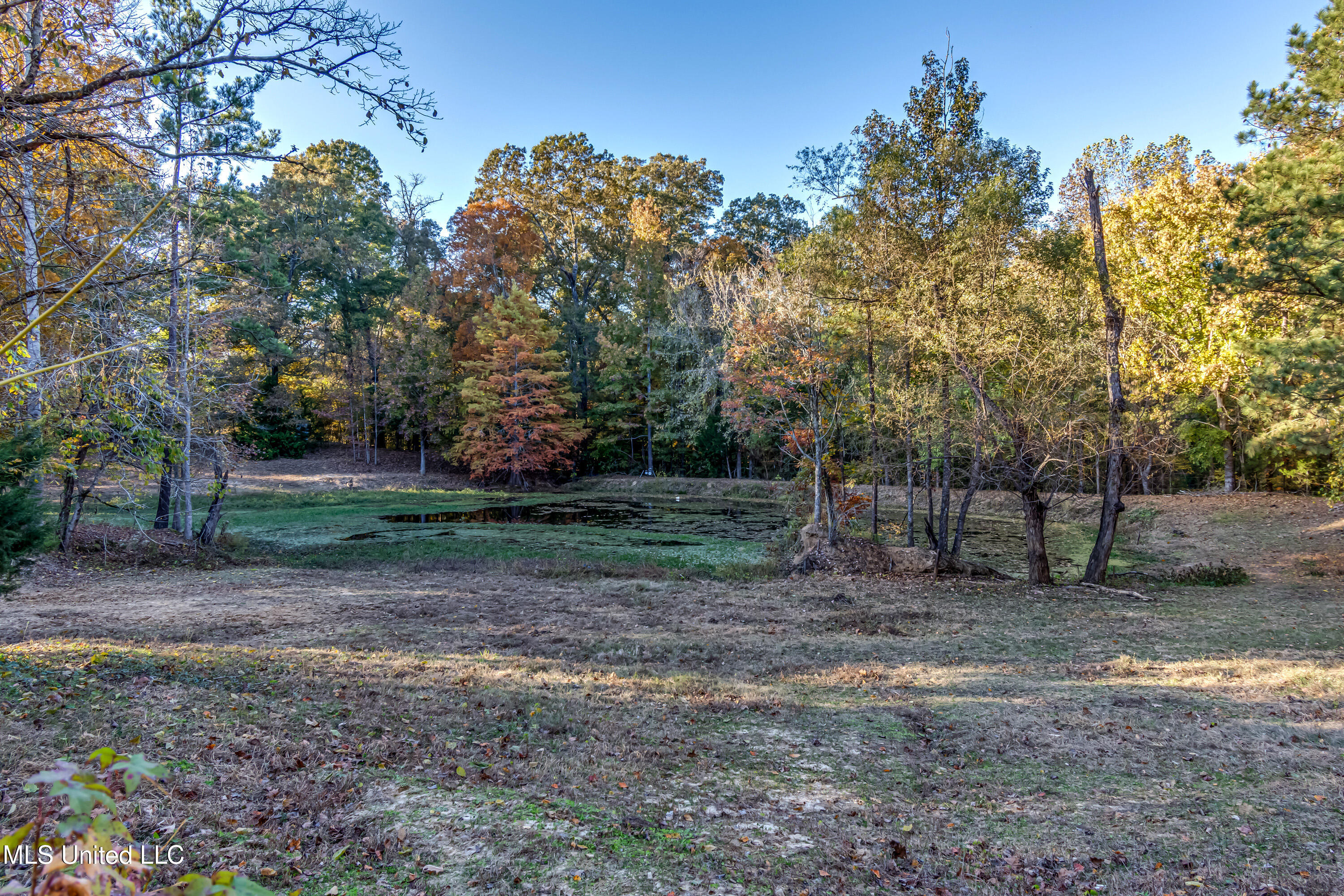 3938 Old Dover Road Yazoo City, MS 39194 - Photo 39 of 42 3938 Old Dover Rd--50