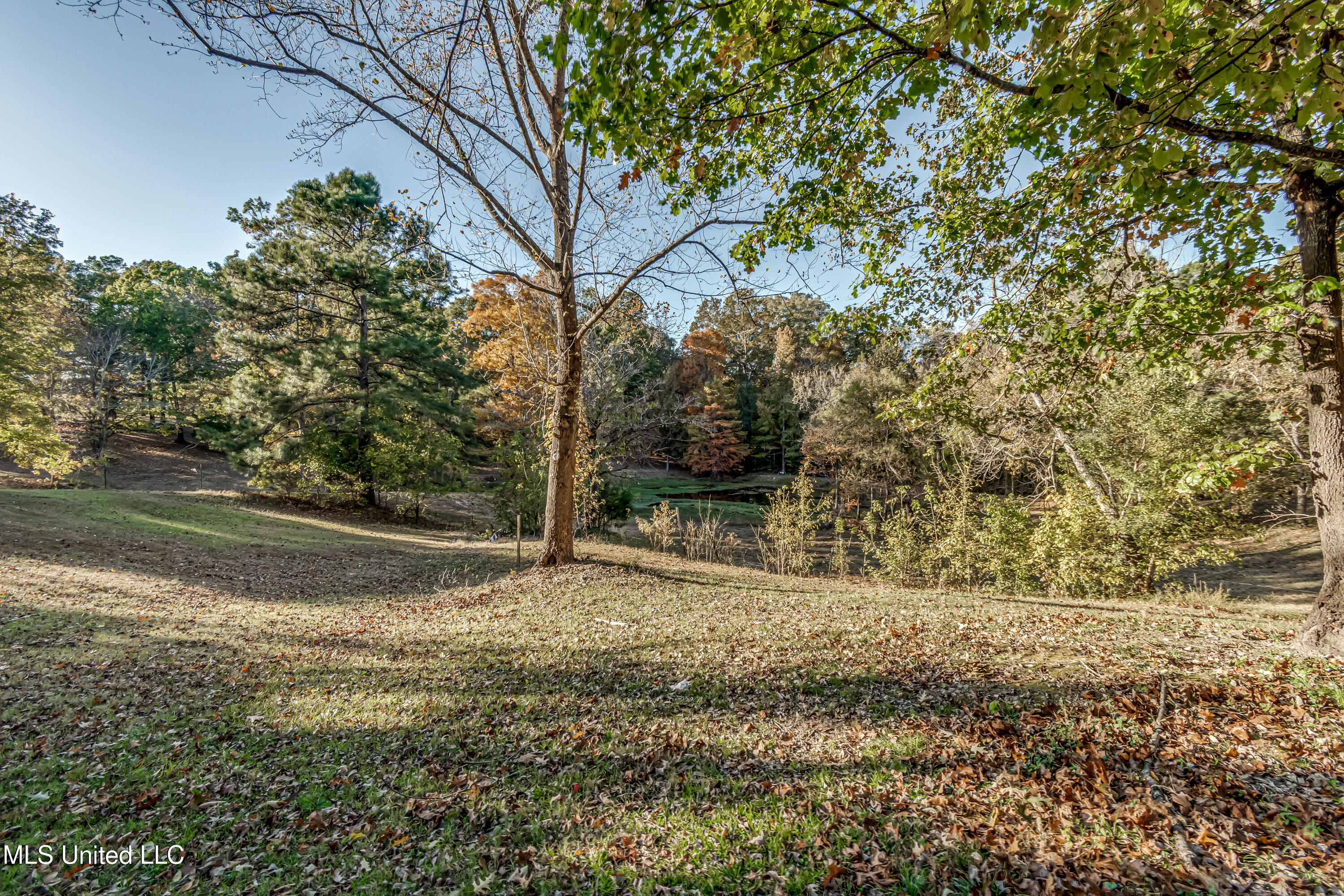 3938 Old Dover Road Yazoo City, MS 39194 - Photo 40 of 42 3938 Old Dover Rd--5
