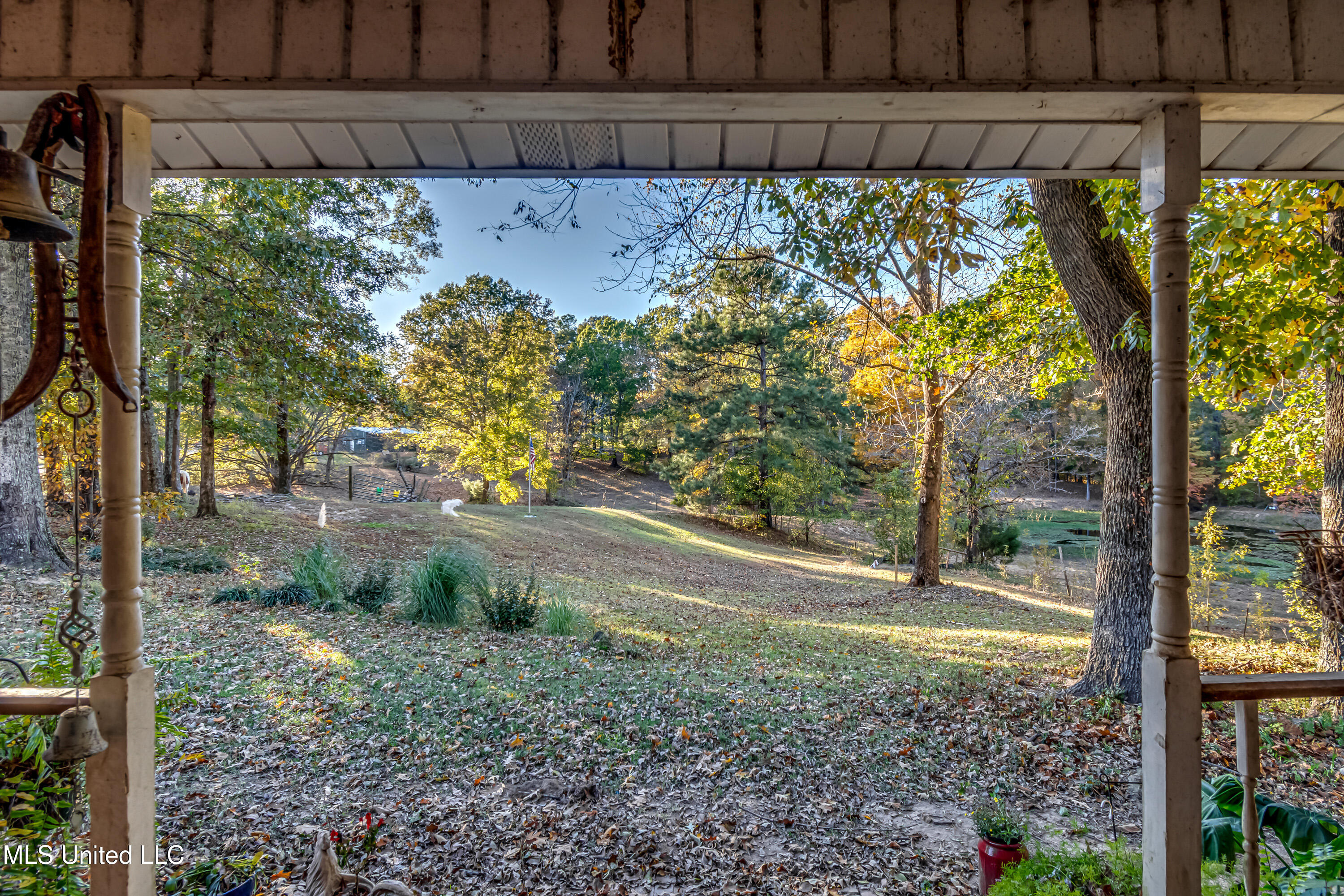 3938 Old Dover Road Yazoo City, MS 39194 - Photo 41 of 42 3938 Old Dover Rd--49 (1)