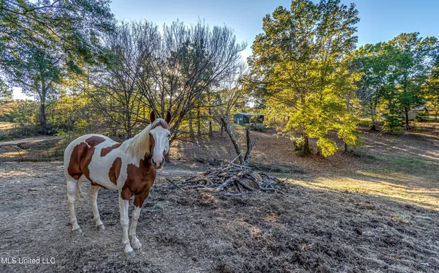 $185,000 | 3938 Old Dover Road, Yazoo City, MS 39194