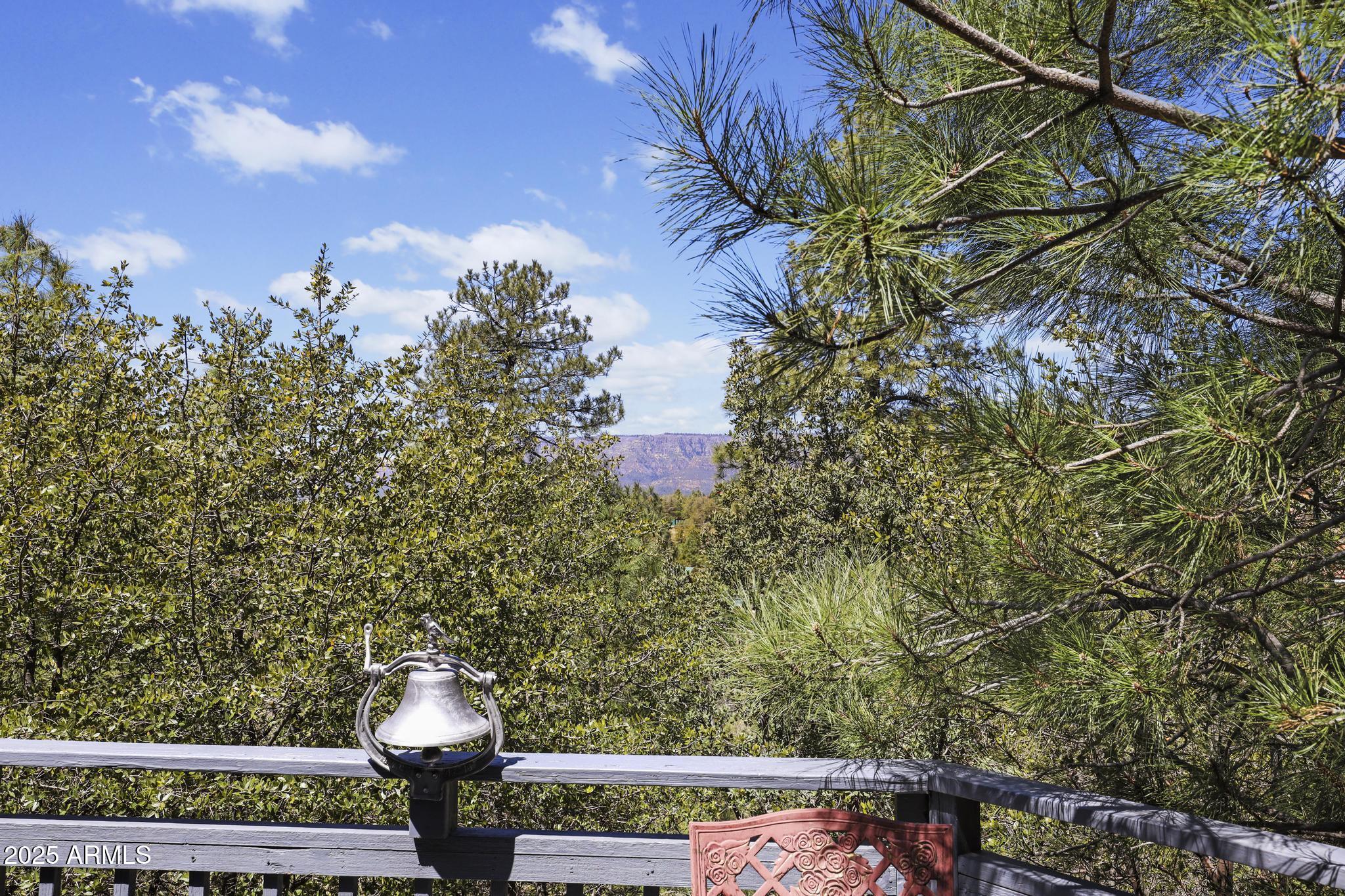 428 Myrtle Point Trail Payson, AZ 85541 - Photo 22 of 24 #22