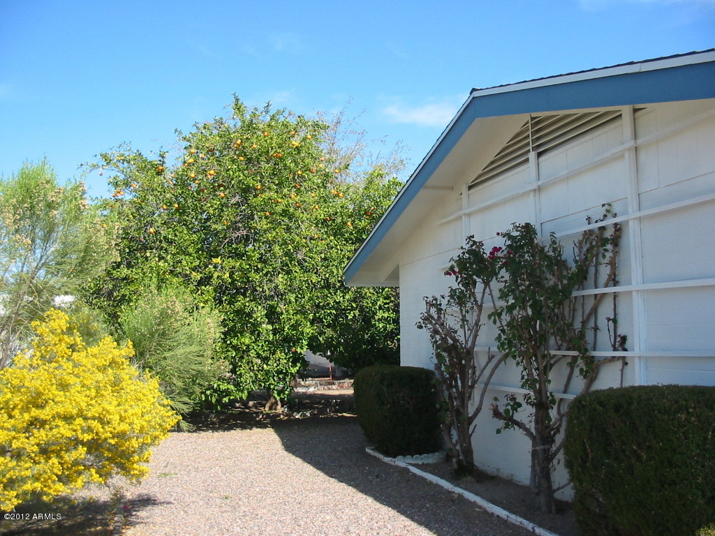 5832 Casper Road Mesa, AZ 85205 - Photo 23 of 24 Sideyard